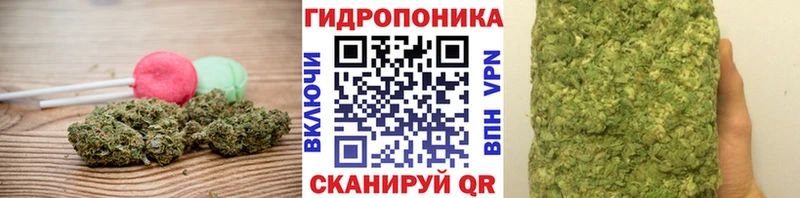 MEGA как войти  Дмитров  Cannafood марихуана 