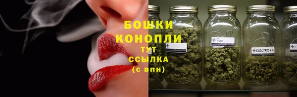 дживик Белоозёрский