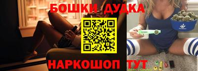 индика Лесосибирск