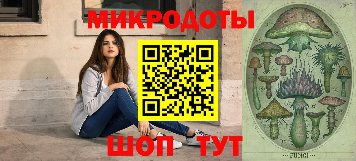 Дмитров  Галлюциногенные грибы Psilocybine cubensis  Вход с VPN  Галлюциногенные грибы GOLDEN TEACHER 