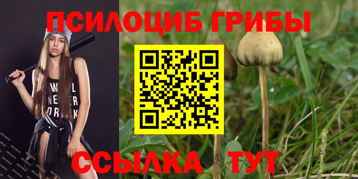 Псилоцибиновые грибы GOLDEN TEACHER  Дмитров 