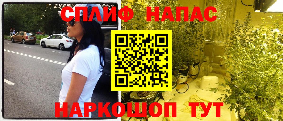 Канабис конопля Дмитров